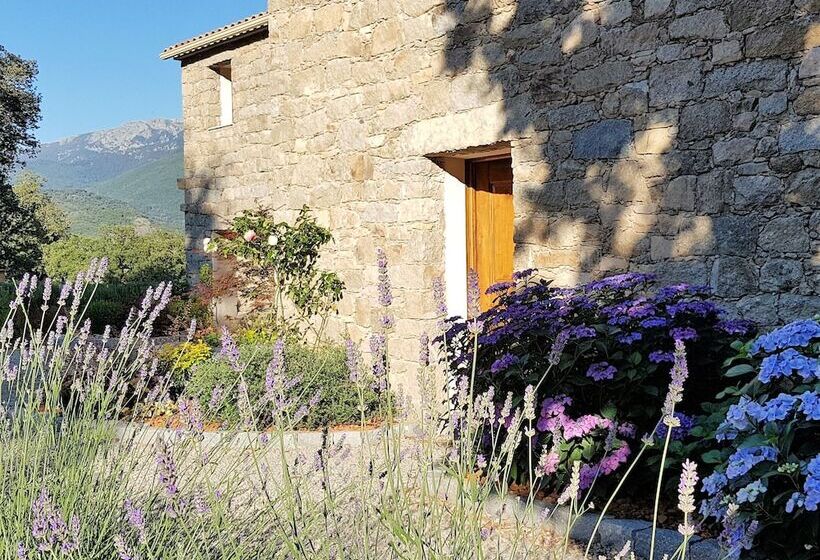 مبيت وإفطار Maison D’hôtes Zella