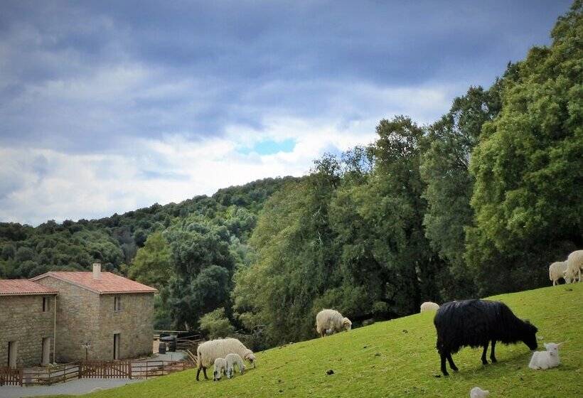 مبيت وإفطار Maison D’hôtes Zella