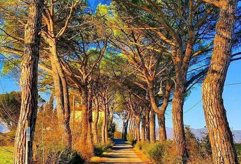 مبيت وإفطار Relais Villa Al Vento