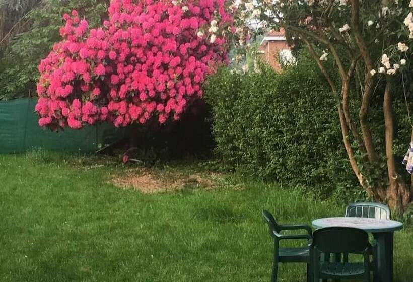 ベッドアンドブレックファースト Z House