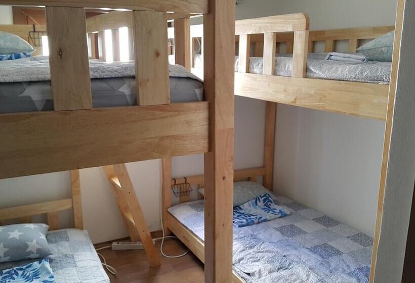 Friends Of Loft   Hostel