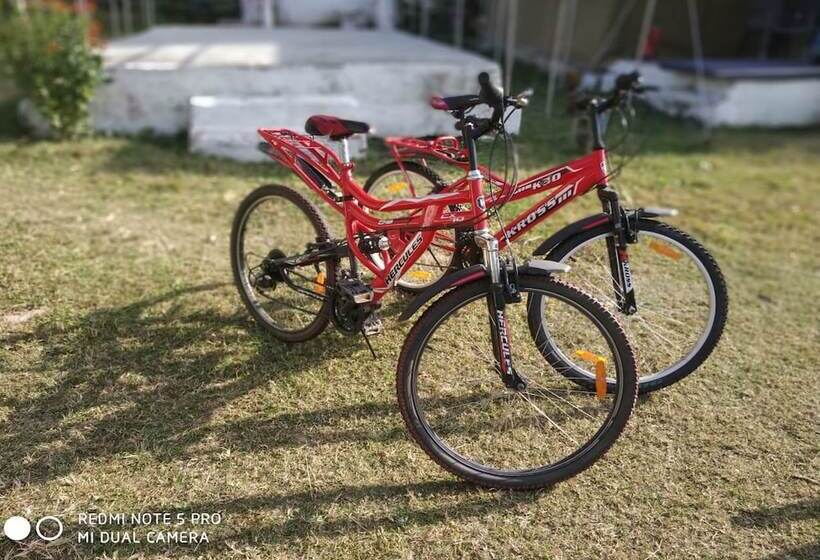 Global Kumbh Village Hostel