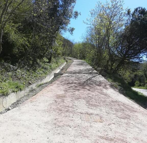 פונדק Le Petit Chateau