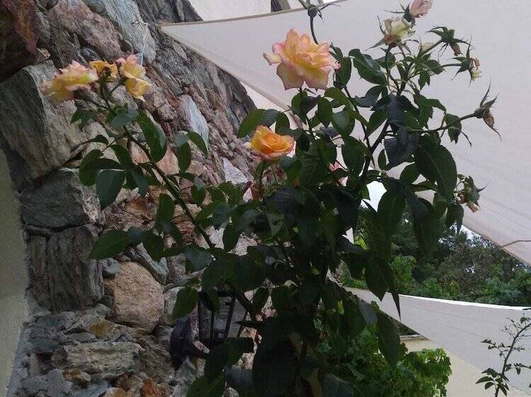 פונדק Le Petit Chateau