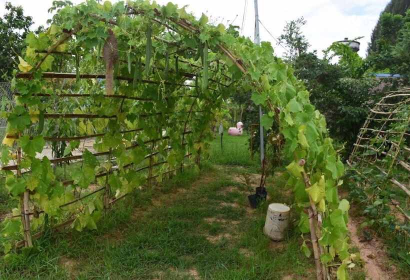 Отель เซราะกราว บูติก รีสอร์ท Sohground Boutique Resort