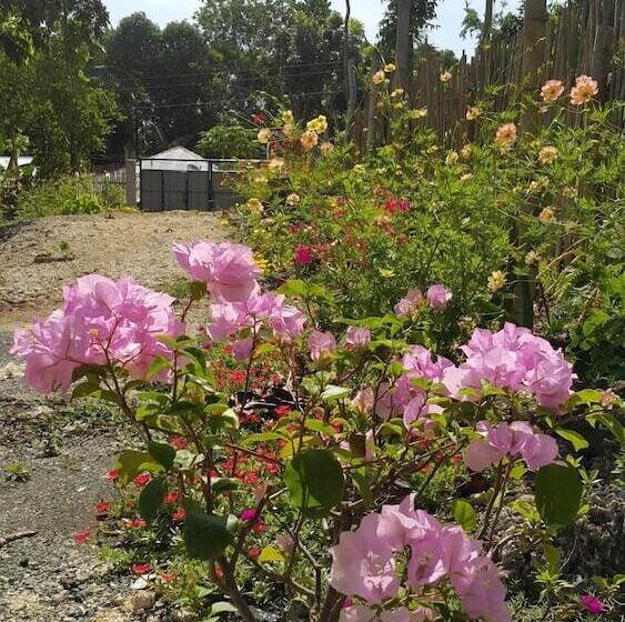 هتل Andnindot Garden Resort