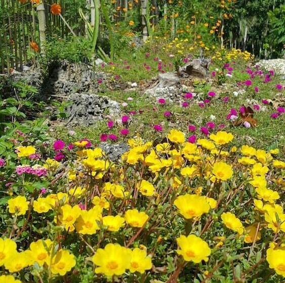 هتل Andnindot Garden Resort