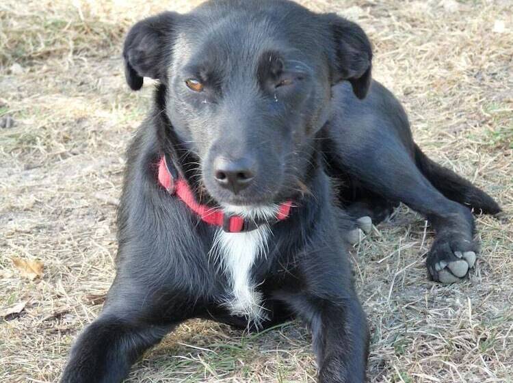 בית מלון כפרי Auberge Du Tranchoir