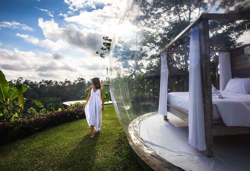 Bubble Hotel Bali Ubud   Adults Only