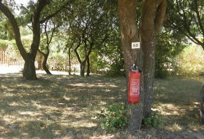 ホテル Camping Les Truffieres