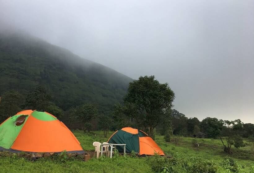 Hotel Canary Forest Camping