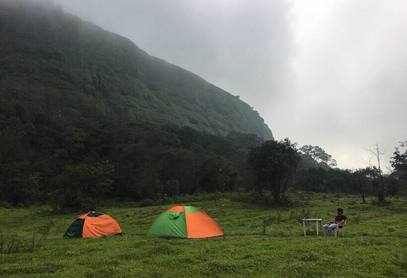 Hotel Canary Forest Camping