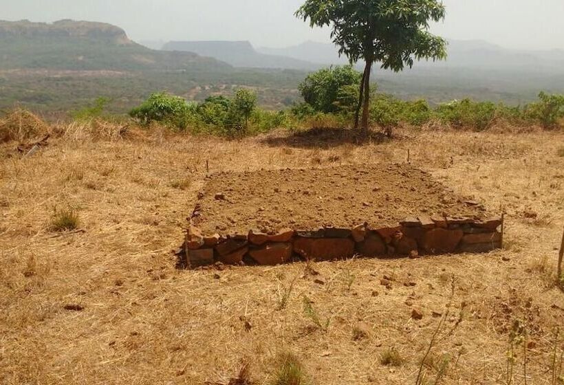 Hotel Canary Forest Camping