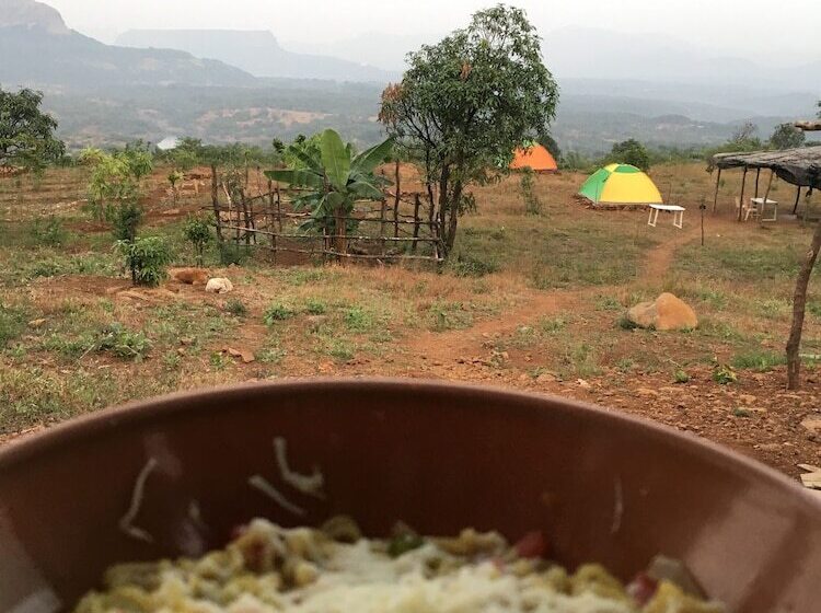 Hotel Canary Forest Camping