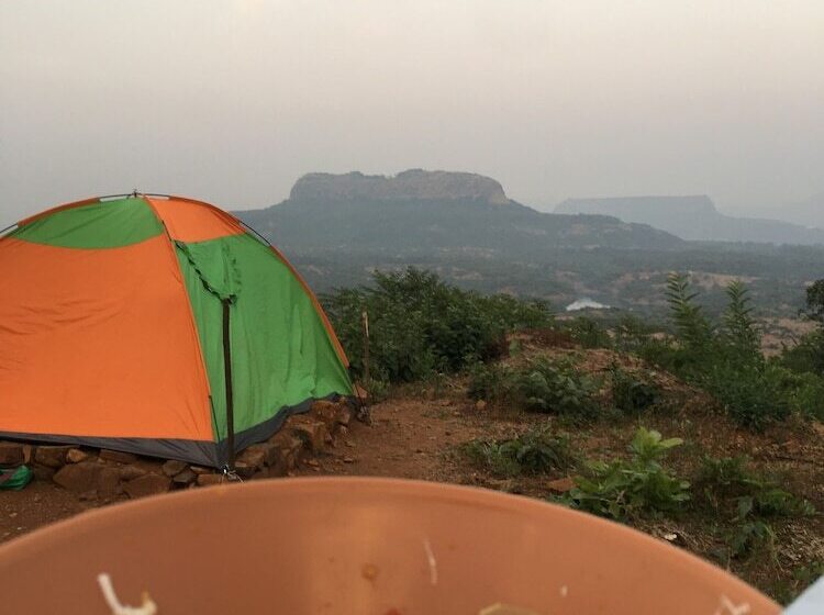 Hotel Canary Forest Camping