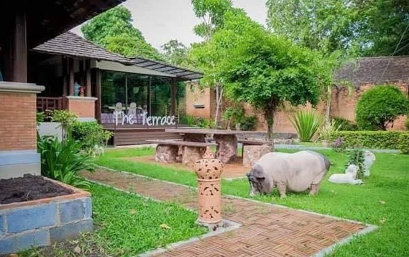 酒店 Darapura At Wangyang Resort