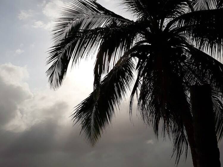 酒店 Discovery Guna