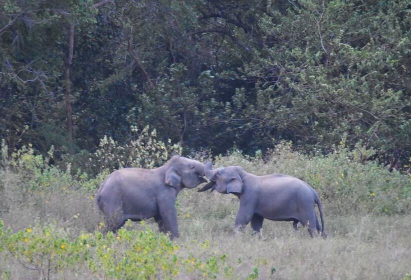 فندق Explorer By Eco Team  Gal Oya National Park