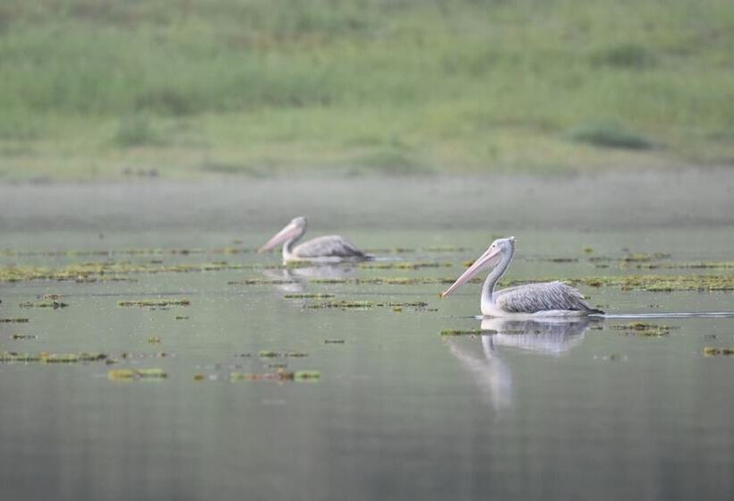 Отель Explorer By Eco Team  Maduru Oya National Park