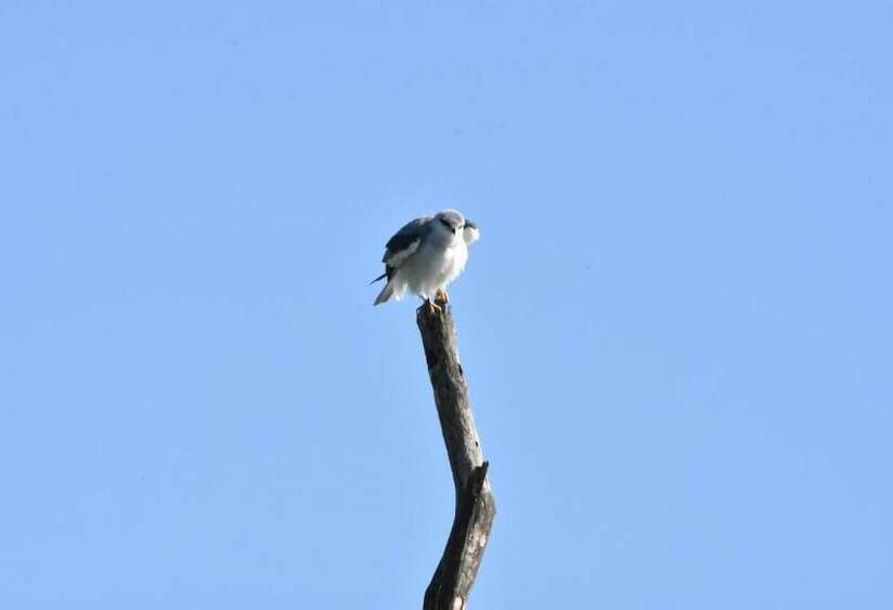 Отель Explorer By Eco Team  Maduru Oya National Park