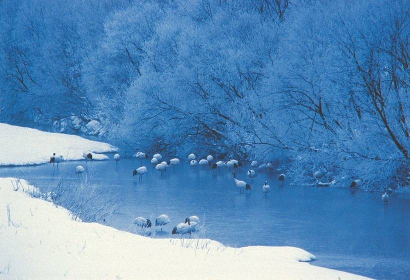 ホテル Green Park Tsurui