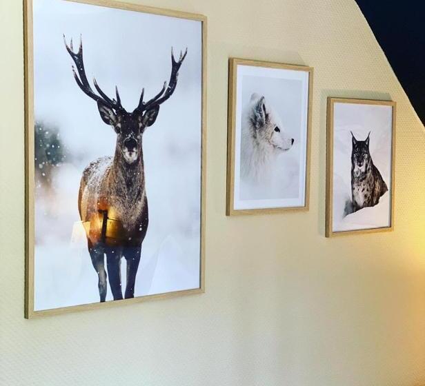 فندق Hôtel Génépi