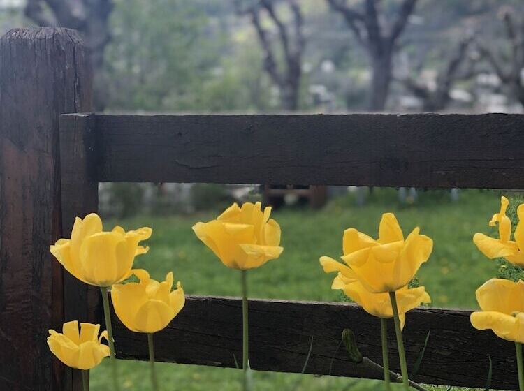 فندق Hôtel Génépi