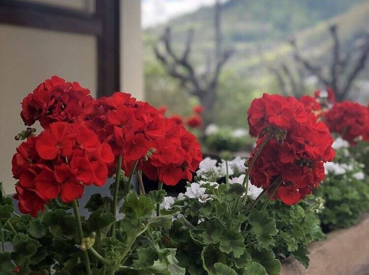 فندق Hôtel Génépi