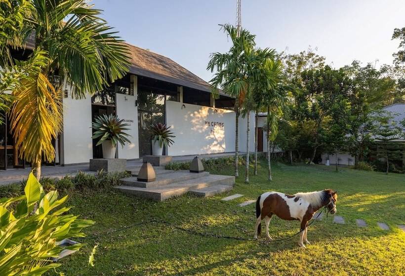 בית מלון כפרי Kachong Hills Tented Resort Trang