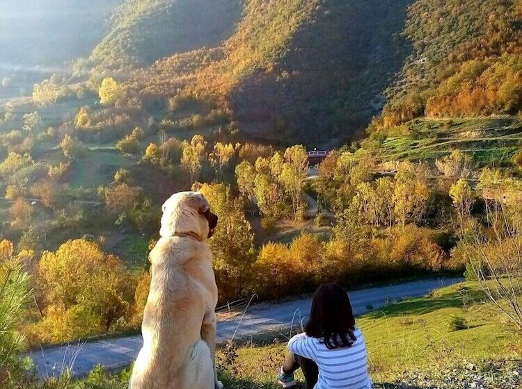 فندق Kure Dag Evi