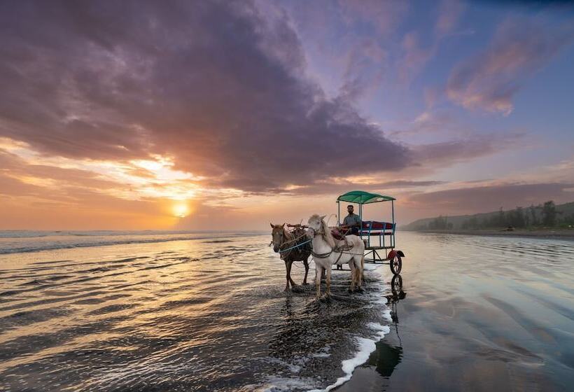 فندق Lotus An Eco Beach Resort Dapoli Murud