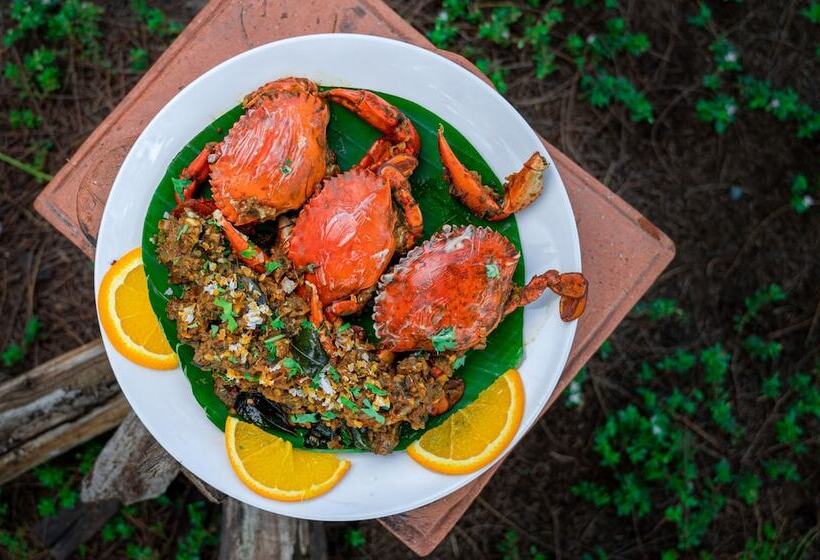 فندق Lotus An Eco Beach Resort Dapoli Murud