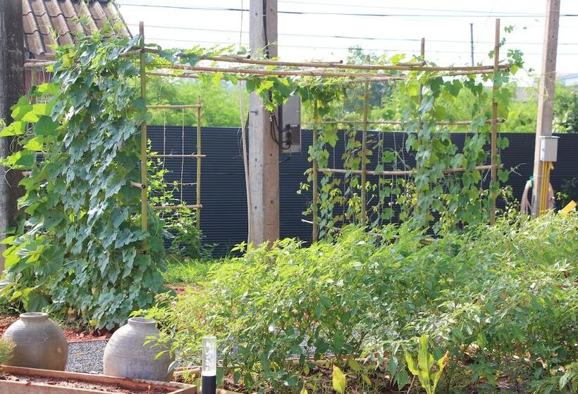 Отель Lumluek Boutique Resort