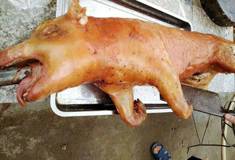 فندق Mingshi Red Bean Restaurant Homestay