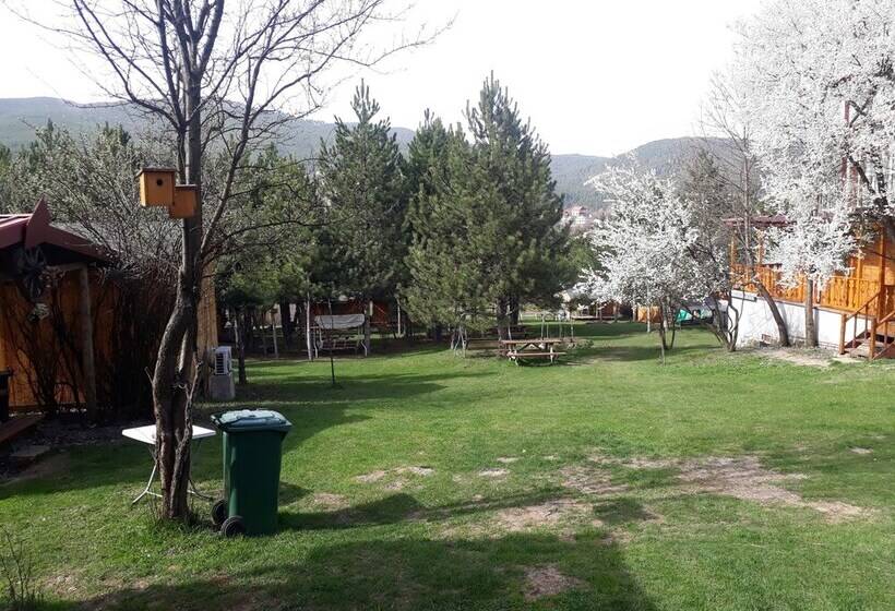 Отель Nesilce Tatil Koyu