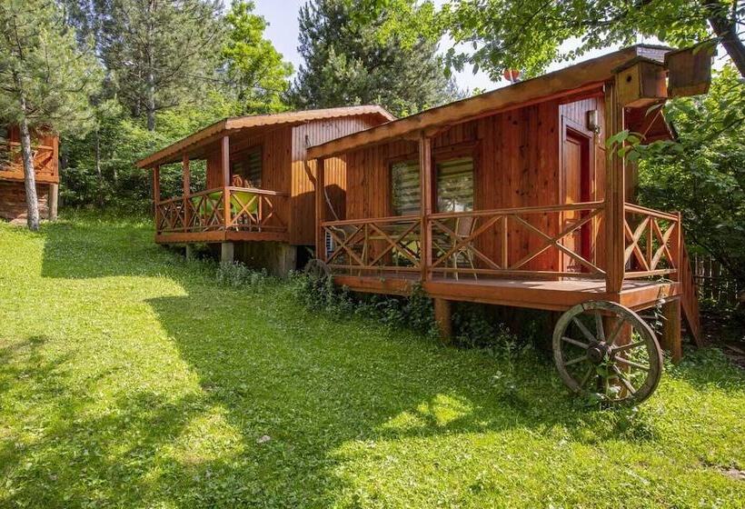 Отель Nesilce Tatil Koyu