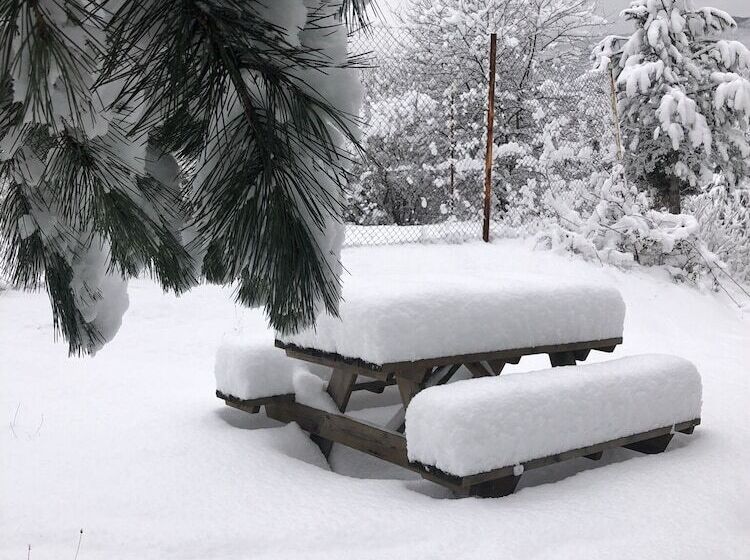 Отель Nesilce Tatil Koyu