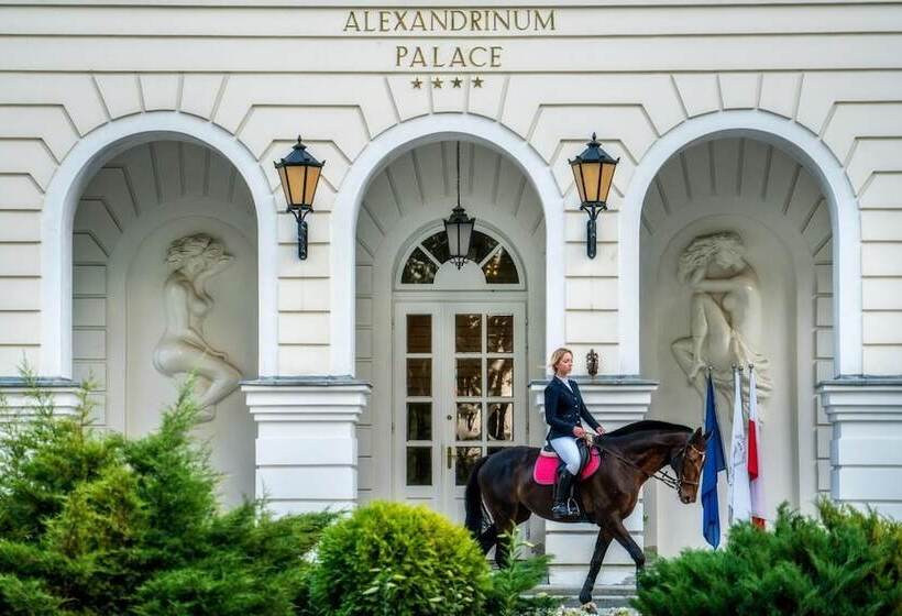 فندق Pałac Alexandrinum