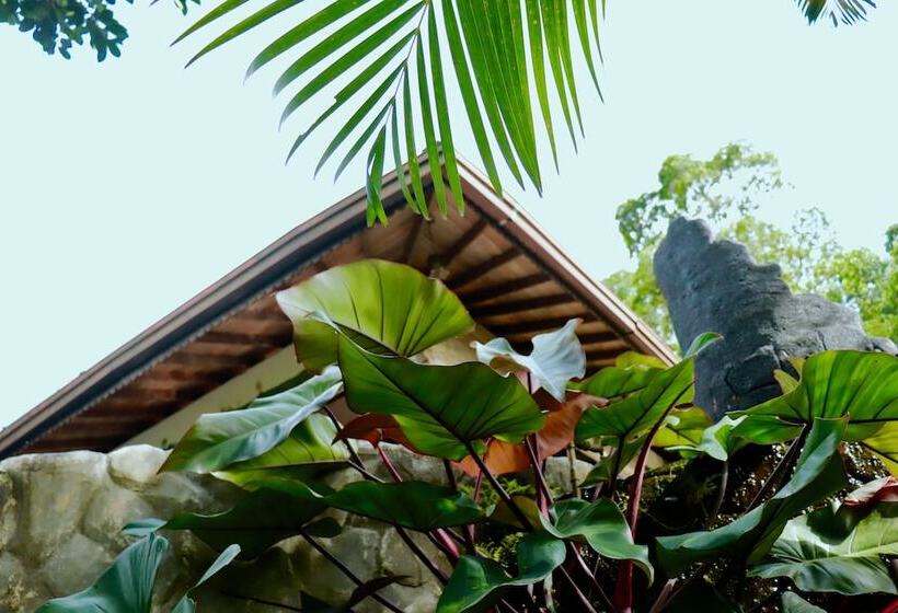 ホテル Paradise Eco Garden