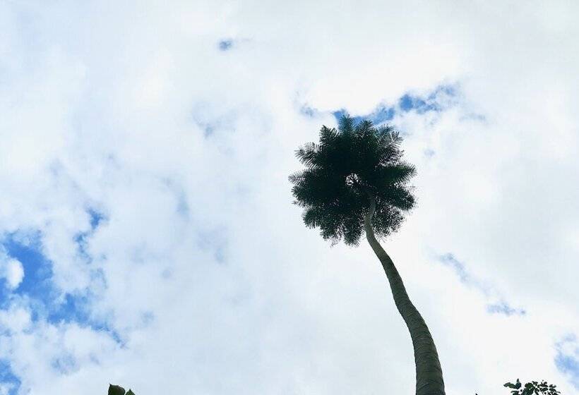 ホテル Paradise Eco Garden