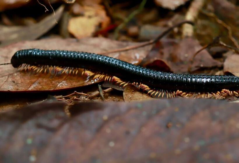 فندق Paradise Eco Garden