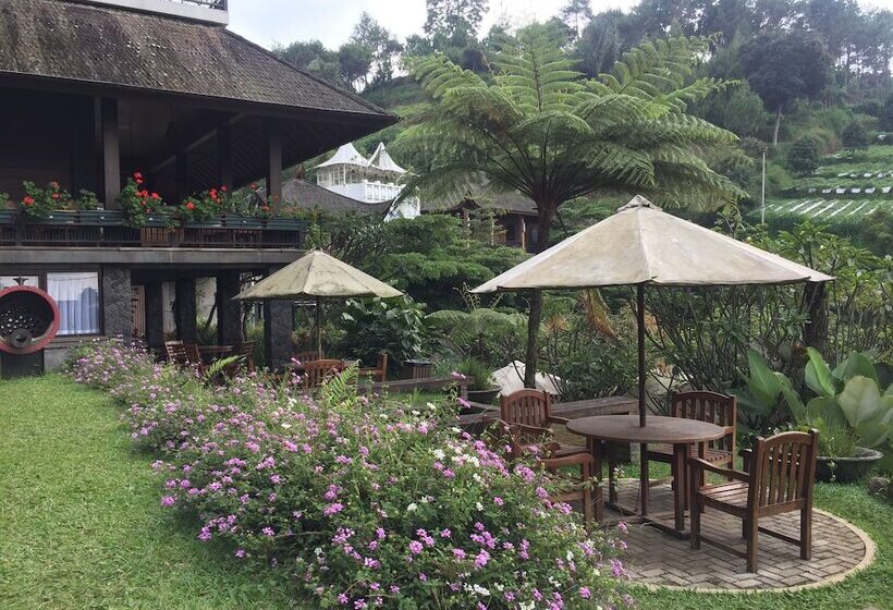 酒店 Rumah Stroberi Organic Farm And Lodge
