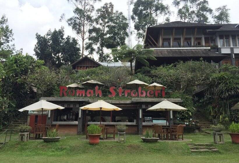 酒店 Rumah Stroberi Organic Farm And Lodge