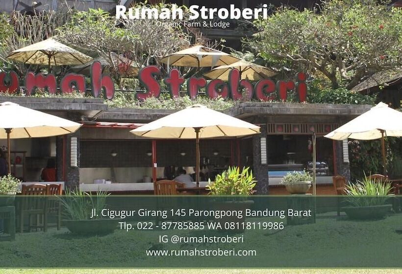 酒店 Rumah Stroberi Organic Farm And Lodge