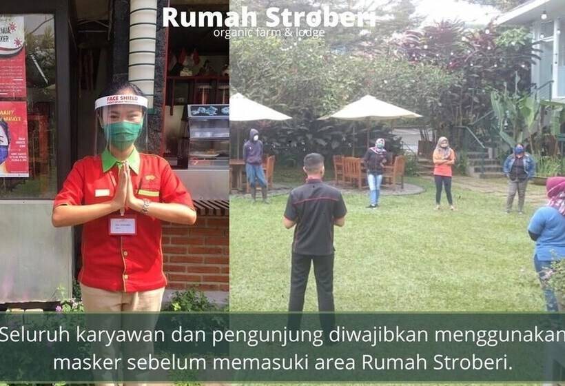 Отель Rumah Stroberi Organic Farm And Lodge
