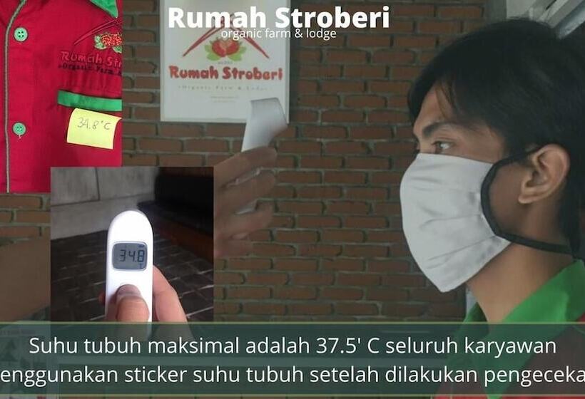 Отель Rumah Stroberi Organic Farm And Lodge