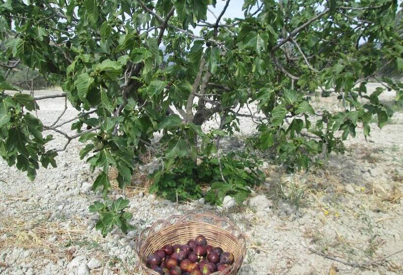 Сельский отель Agriturismo Donna Beatrice