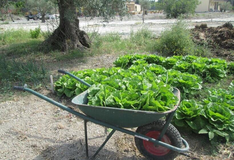 Сельский отель Agriturismo Donna Beatrice