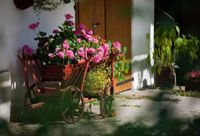 교외 호텔 Cichy Zakatek Rabka Zdroj