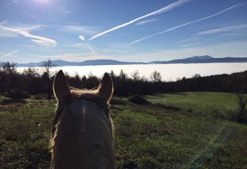 Сельский отель Toscana Ranch